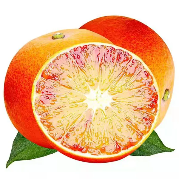 血橙