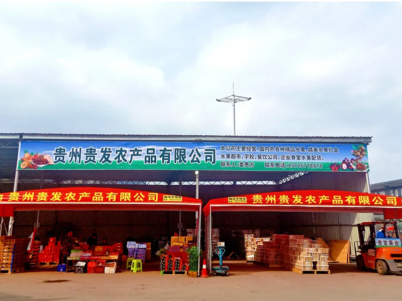 门店五
